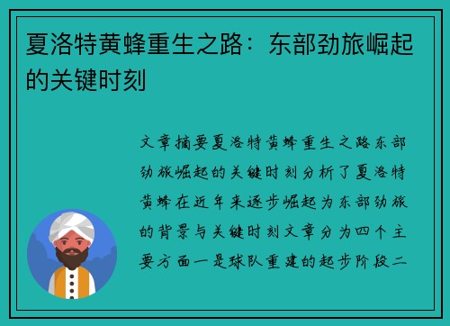 夏洛特黄蜂重生之路：东部劲旅崛起的关键时刻